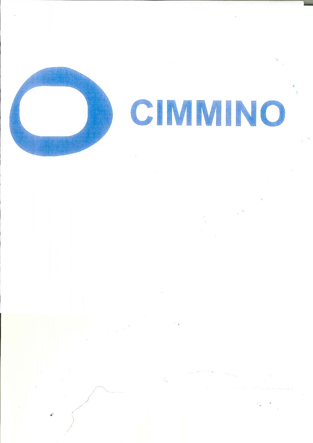 Cimm 1 pdf - Gems Factory S.r.l. - Oromare